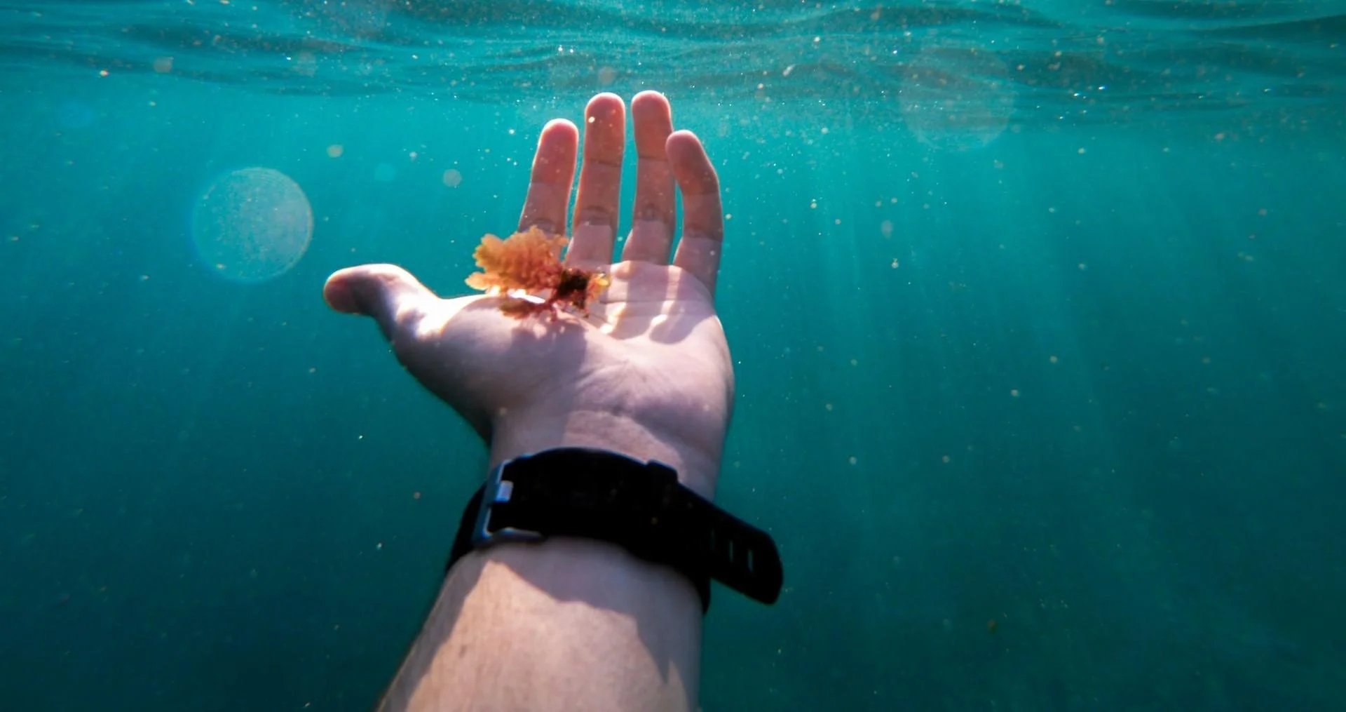 waterproof watches 